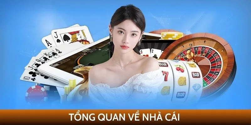 Tổng quan về nhà cái